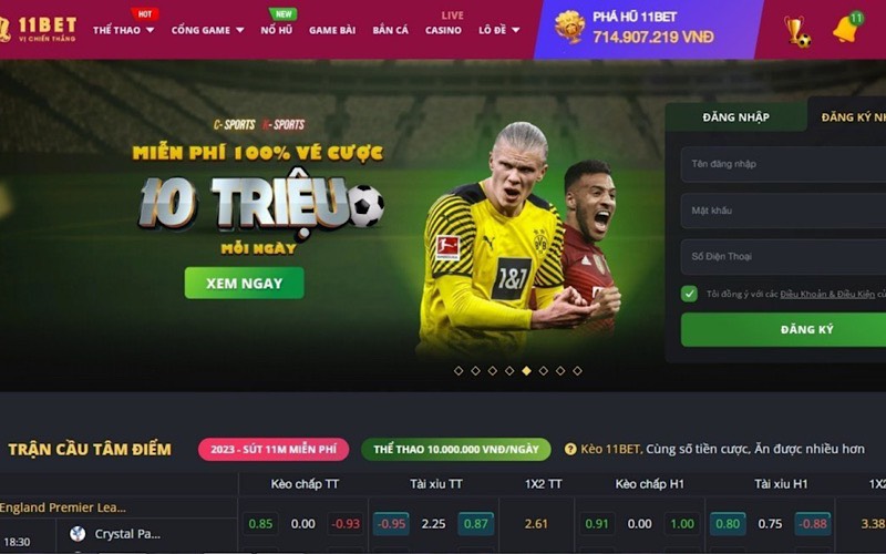 Trang cược bóng đá chuyên nghiệp 11bet